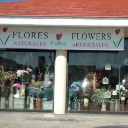 Florería En Puerto Vallarta Florart