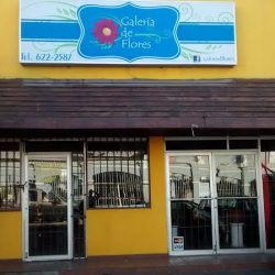 Floreria En Tijuana - Galería De Flores