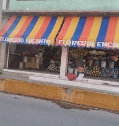 Floreria "encanto"