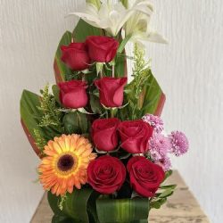 Floreria Encanto