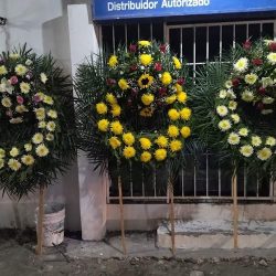 Floreria Encanto
