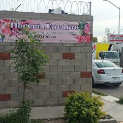 Floreria Encanto