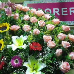 Florería Encanto