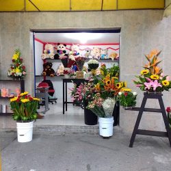 Florería Envía Rosas - Envía Flores A Domicilio En Nezahualcóyotl, Oriente Cdmx Y Chimalhuacán