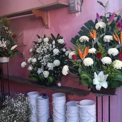 Floreria Erika