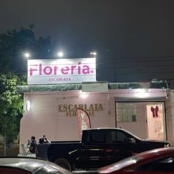 Floreria Escarlata