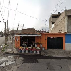 Florería Escarlett