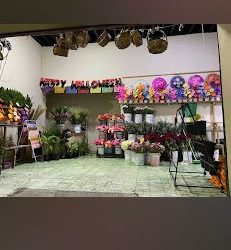 Floreria Escobedo