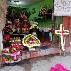 Florería Escorpión