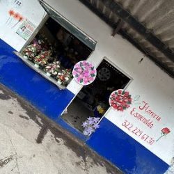 FlorerÍa Esmeralda