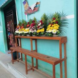 Floreria Esmeralda