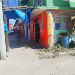 Floreria Estación De Apulco