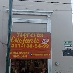 Florería Estefanie