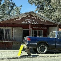Floreria Estefany