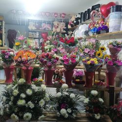 Florería Estrella