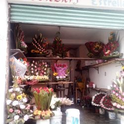 Florería Estrella