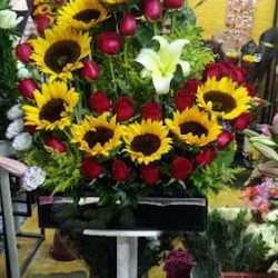 Floreria "estrella"