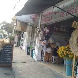 Florería Estrella De Belén