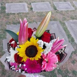 Florería Estrella Mtz