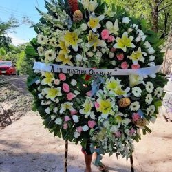 Floreria Estrellita
