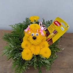 Florería Eulalia Gdl