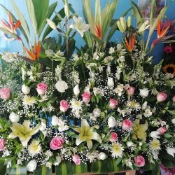 Floreria Eva