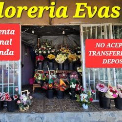 Florería Eva's Buenos Aires Sur