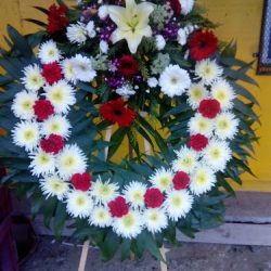 Floreria Evas - Cañon De Las Rosas