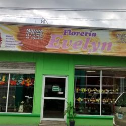 Florería Evelyn