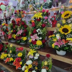 Florería Evelyn