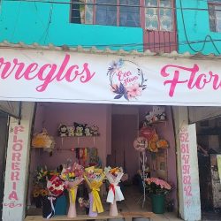 Florería Ever Flower