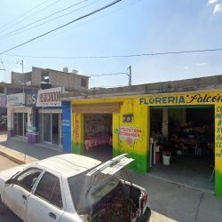 Floreria Falcon