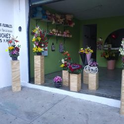 Floreria Fantasia Floral