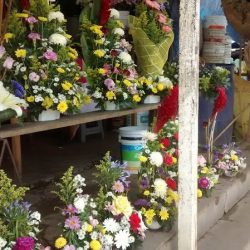 Florería Faridy