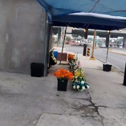 Floreria Fátima