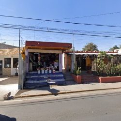 Floreria Fenix