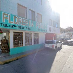 Floreria Fenix