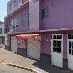 Floreria "fer"