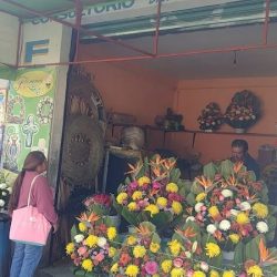 Florería "fer"