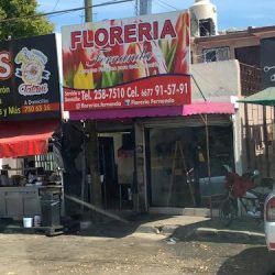 Floreria Fernanda
