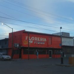 Floreria Fiona