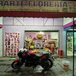 Florería Fiorarte