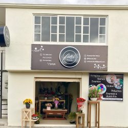 Floreria Fiori Toluca Y Metepec