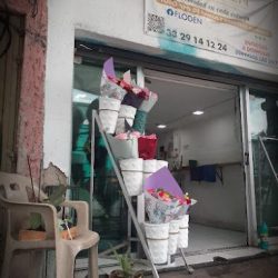 Florería Floden Patria