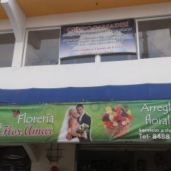 Florería Flor Amar