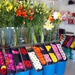 Floreria Flor-arte