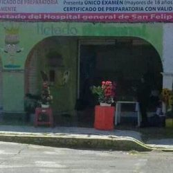 Floreria "flor De Ceda "