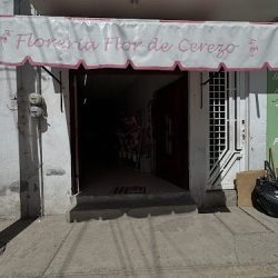 Florería Flor De Cerezo