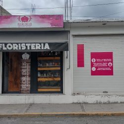 Florería Flor De Lis