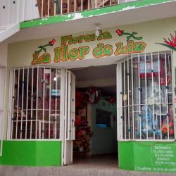 Floreria Flor De Lis